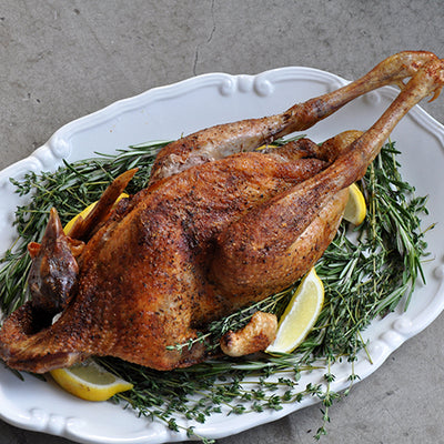 Guinea Hen